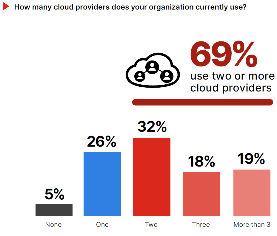 Organization Cloud Usage 