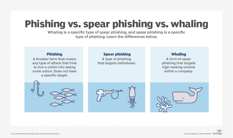 8 Steps To Prevent Whaling Phishing Attacks - MemcyCo